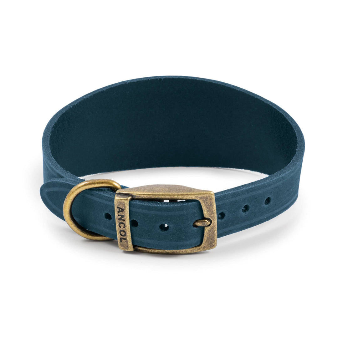 Timberwolf Hound Collar ( Size 34-43cm)