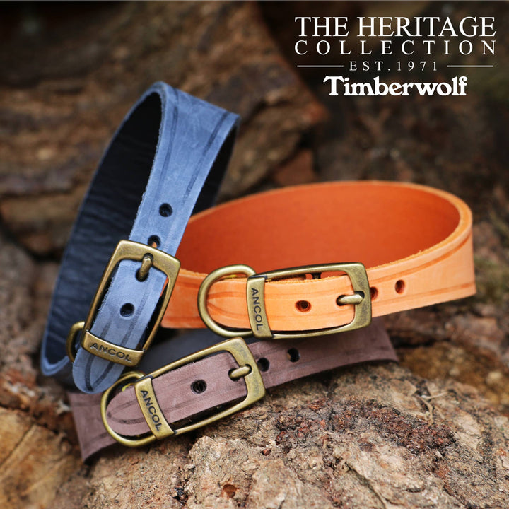 Timberwolf Hound Collar ( Size 34-43cm)