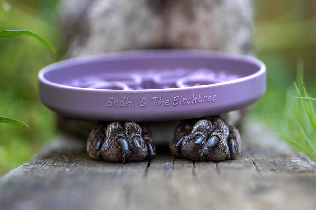 Bodhi & The Birchtree Slow Feeder Bowl | Damson