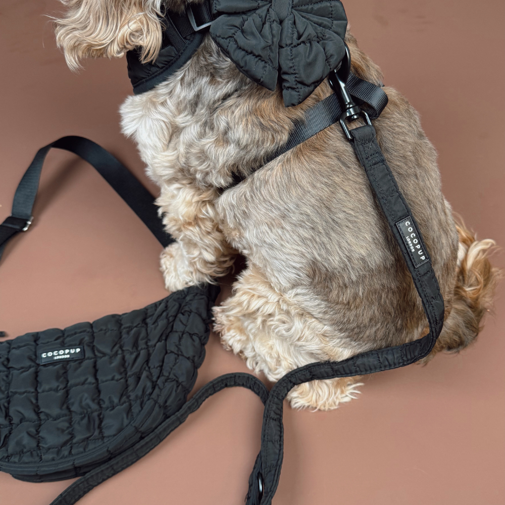 Cocopup Onyx Quilted Lead