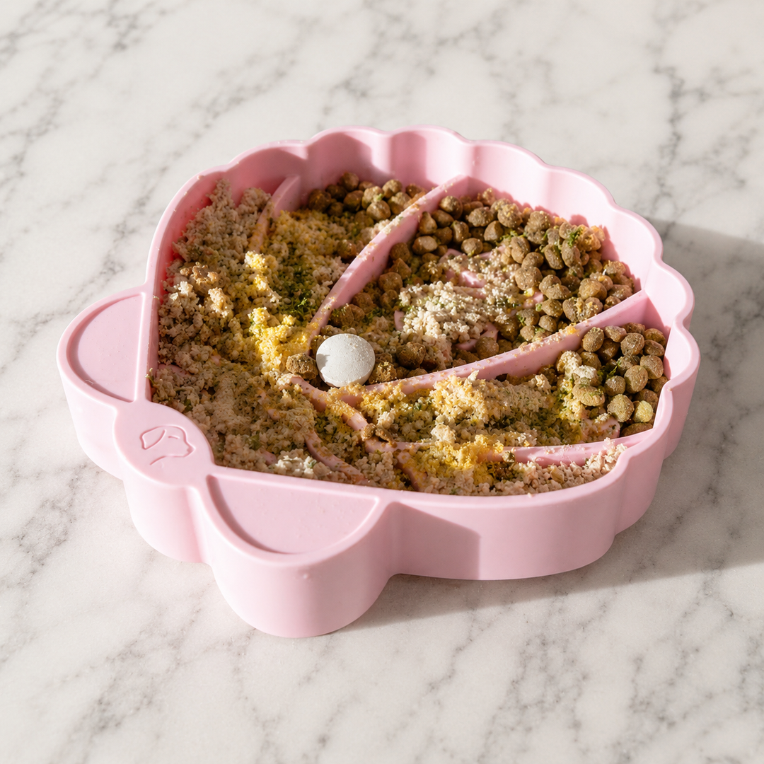 Pawsome Tails Seashell Slow Feeder Bowl (Petal)