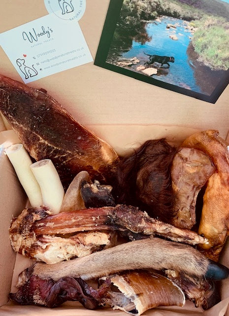 Woody's Big Chomp Box