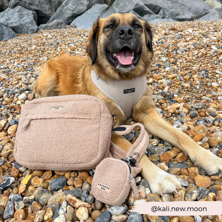 Cocopup Treat Pouch - Teddy Rupert