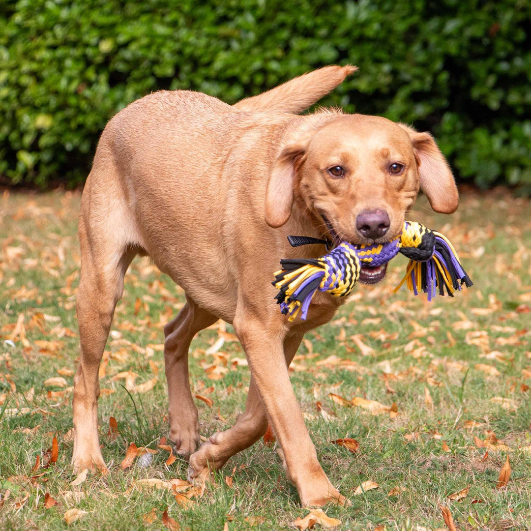 Play Time For Dogs Squeaky T-Shirt Rope Ball