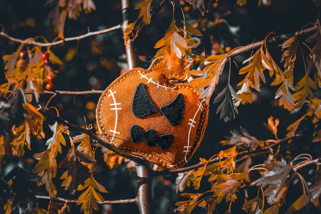 Halloween Jack the Lad Pumpkin small breed Eco Dog Toy