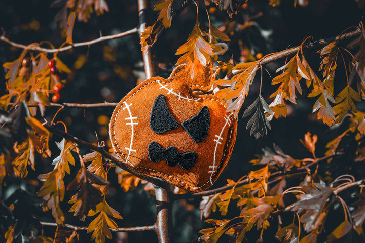 Halloween Jack the Lad Pumpkin small breed Eco Dog Toy