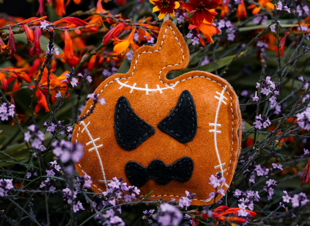 Halloween Jack the Lad Pumpkin small breed Eco Dog Toy