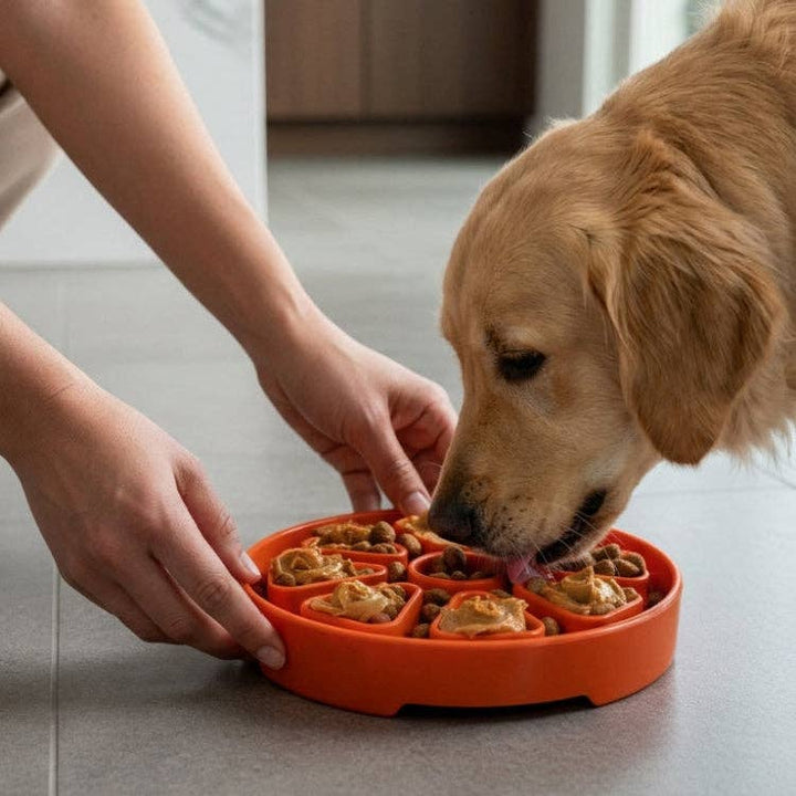 SodaPup Citrus Softie eTray Shallow Slow Feeder Dog Bowl