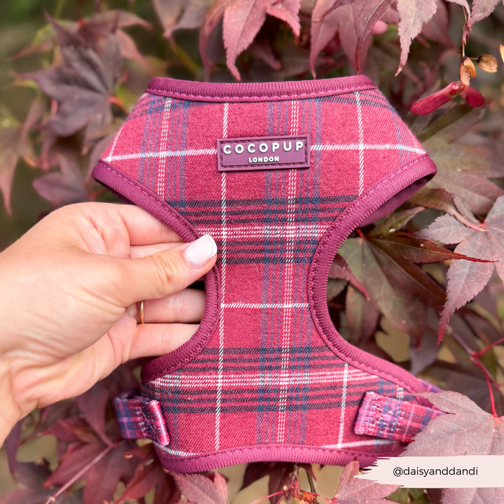 Cocopup Mulberry Plaid Adjustable Neck Harness