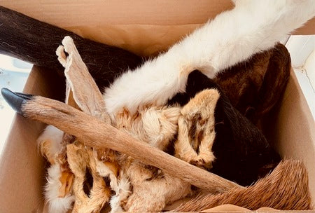 Woody's We Are Hair Fur You Box