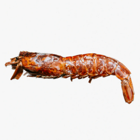 Wild n Fresh Treats Dehydrated Argentine Red Shrimp (per shrimp)