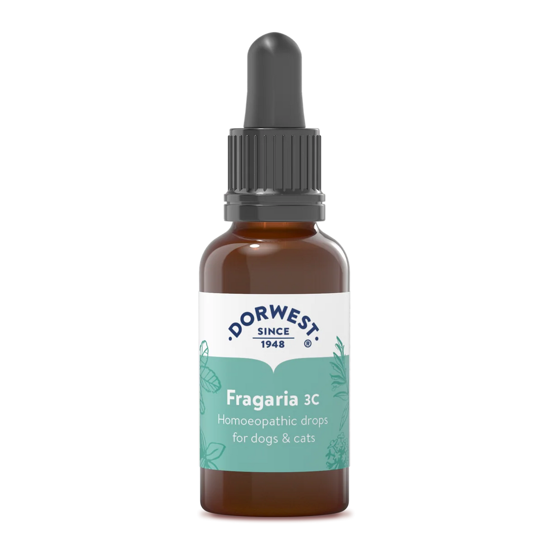 Dorwest Fragaria 3C - 15ml liquid