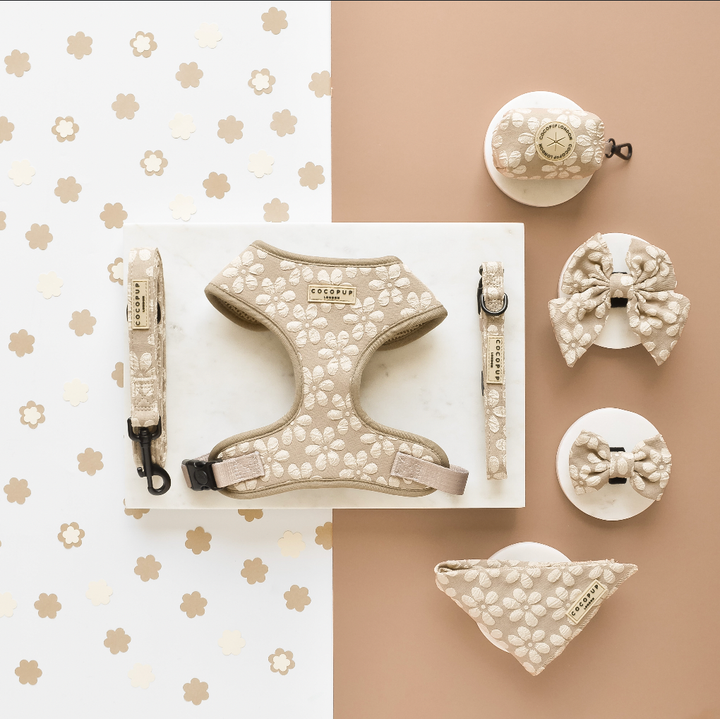 Cocopup Collar - Mocha Flower