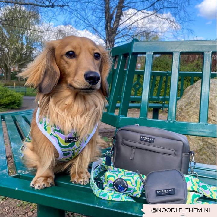 Cocopup Dog Walking Bag - Mocha