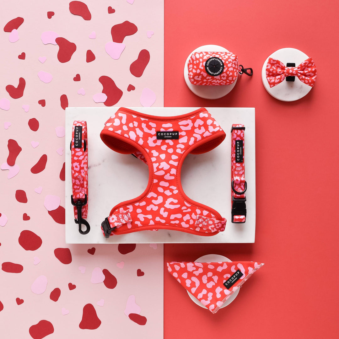 Cocopup Red & Pink Leopard Collar