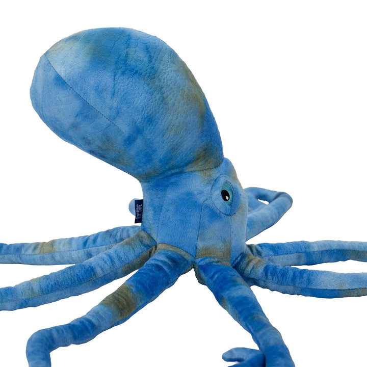 Phil The Kraken Supersized Toy