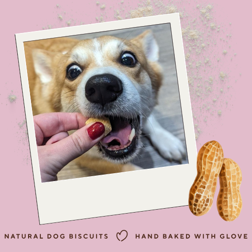 Betty Miller Grain-Free Peanut Butter Bites 400g