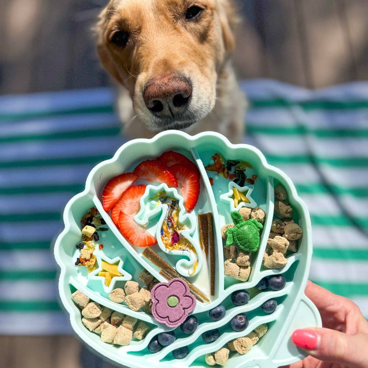 Pawsome Tails Seashell Slow Feeder Bowl (Seafoam)