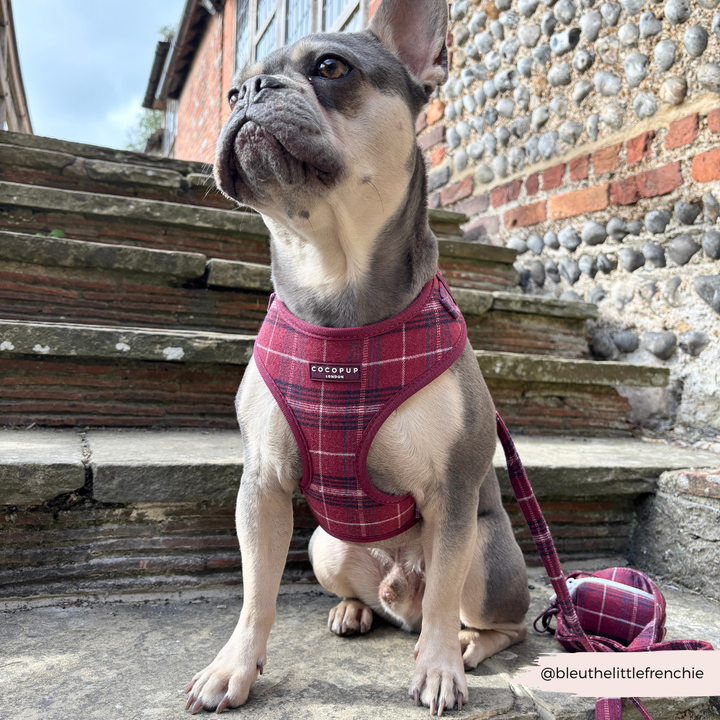 Cocopup Mulberry Plaid Adjustable Neck Harness