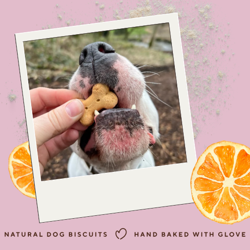Betty Miller Grain-Free Duck & Orange 400g