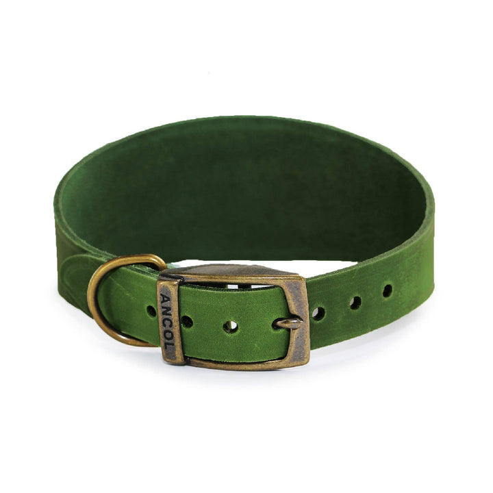 Timberwolf Hound Collar ( Size 34-43cm)