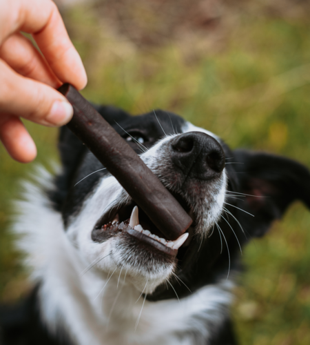 Anco Naturals Ostrich Prime Tender Sticks x 3