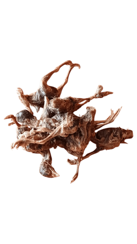 Just 'Ere Fot Treats Freeze Dried Whole Quail 10g
