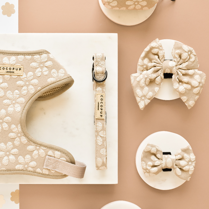 Cocopup Collar - Mocha Flower