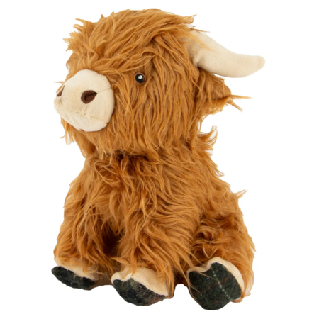 Fergus Highland Cow