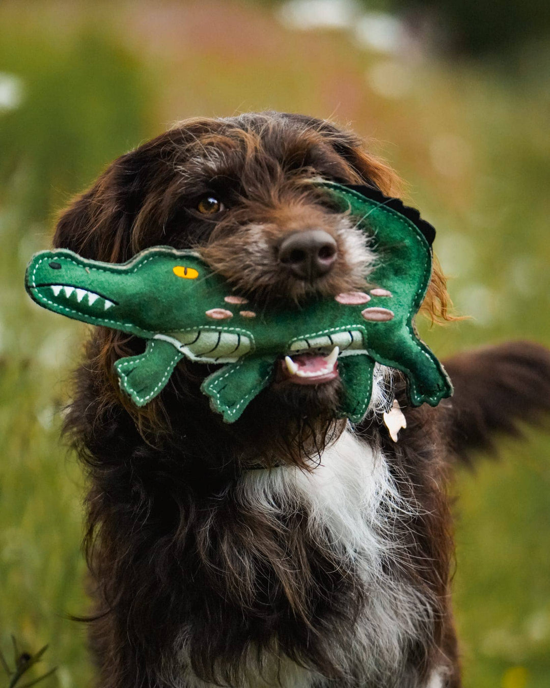Aurora Paws Clive the Crocodile Eco Dog Toy