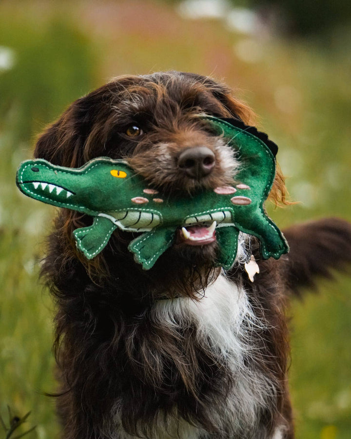 Aurora Paws Clive the Crocodile Eco Dog Toy