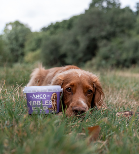 Anco Nibbles Turkey Treats 300g