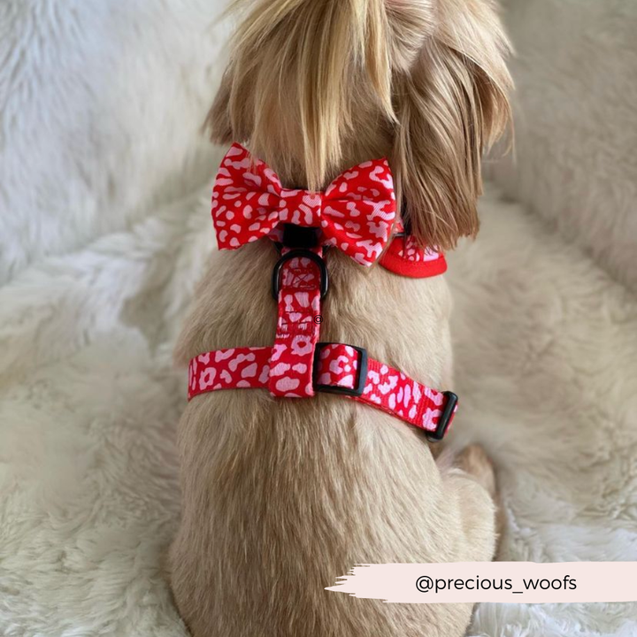 Cocopup Red & Pink Leopard Bow Tie
