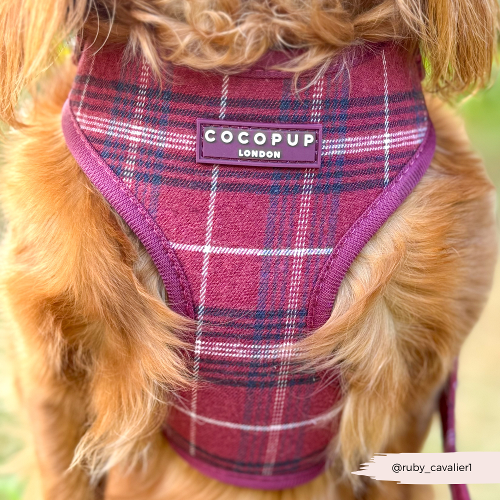 Cocopup Mulberry Plaid Adjustable Neck Harness
