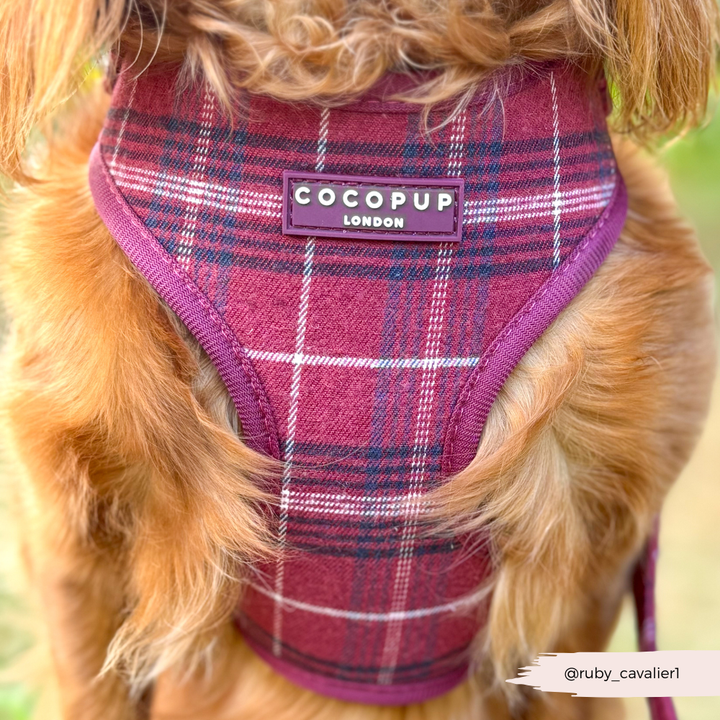 Cocopup Mulberry Plaid Adjustable Neck Harness