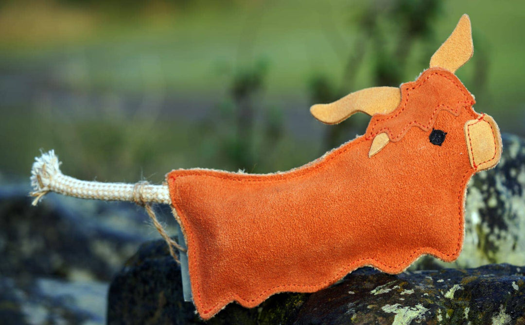 Hamish the Highland Cow shaped Eco Dog Toy