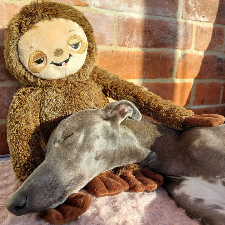 Sleepy Sloth