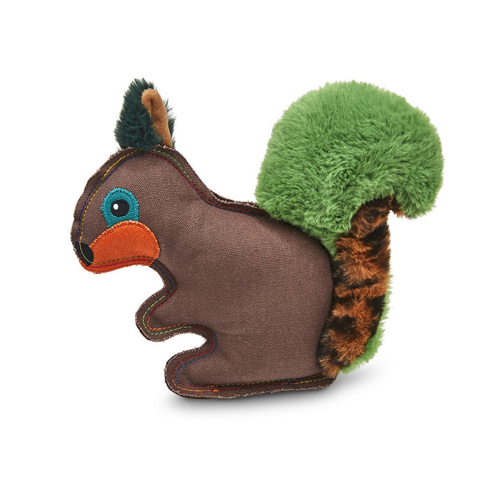 Salina Squirrel