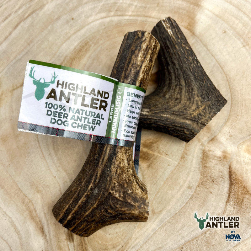 Highland Antler (Large: minimum 151g)