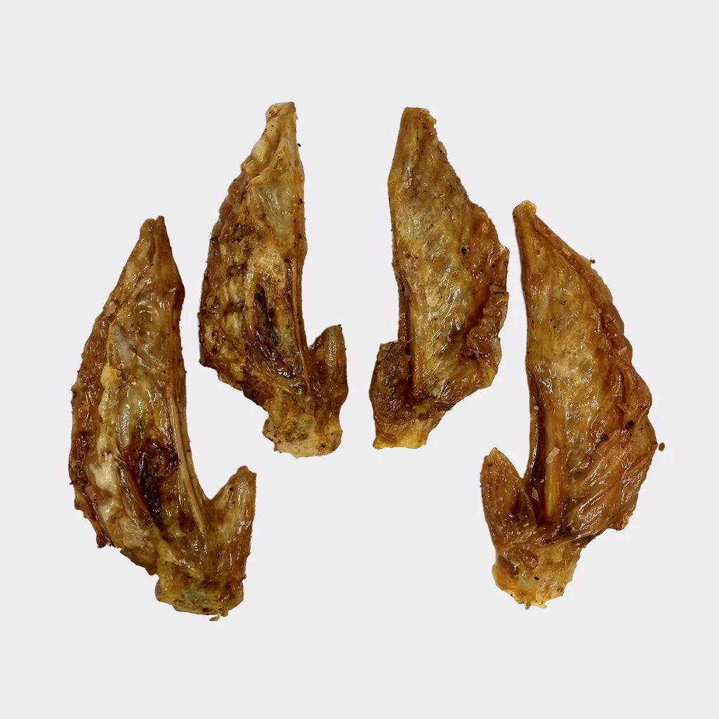 Turkey Wing
