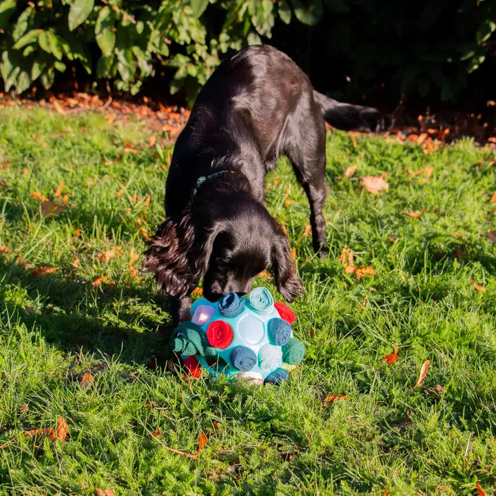 Orva Snuffle Ball