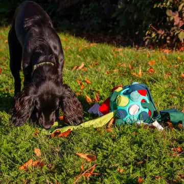 Orva Snuffle Ball