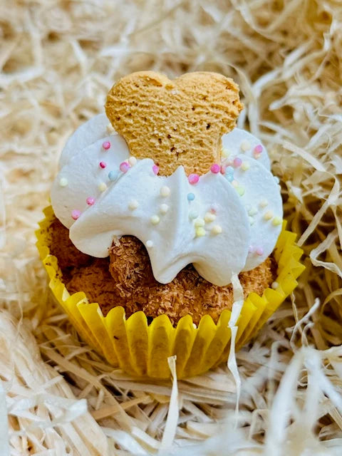 Life of Riley Pawty Pupcake