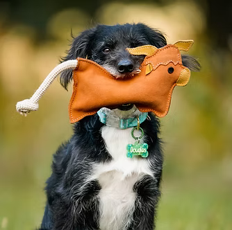 Aurora Paws Hamish the Highland Cow Eco Toy