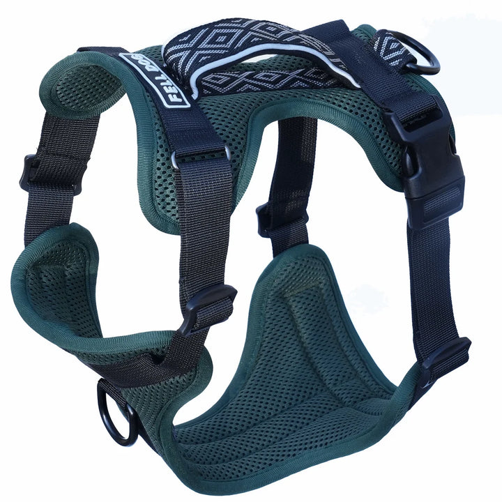 Fell Dog Helvellyn Harness