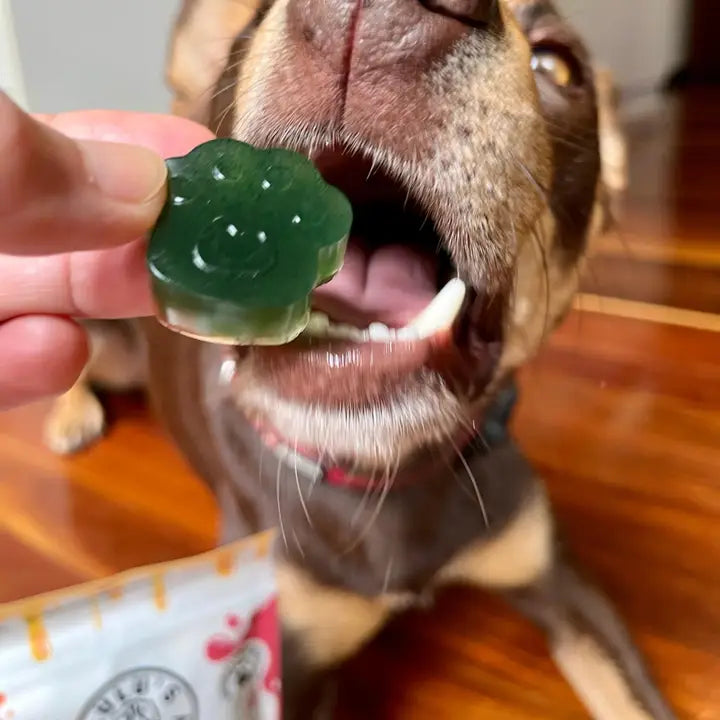 Lulu's Kitchen Spinach & Green Spirulina Superfood Doggy Jelly 100g