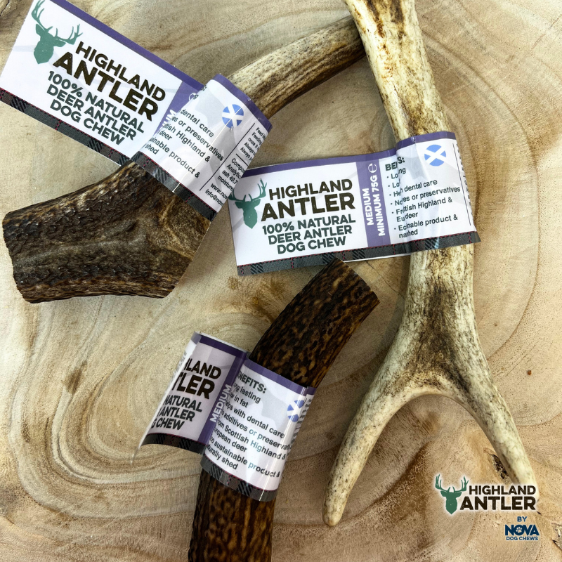 Highland Antler Medium (min. 75g)