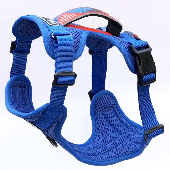 Fell Dog Helvellyn Harness