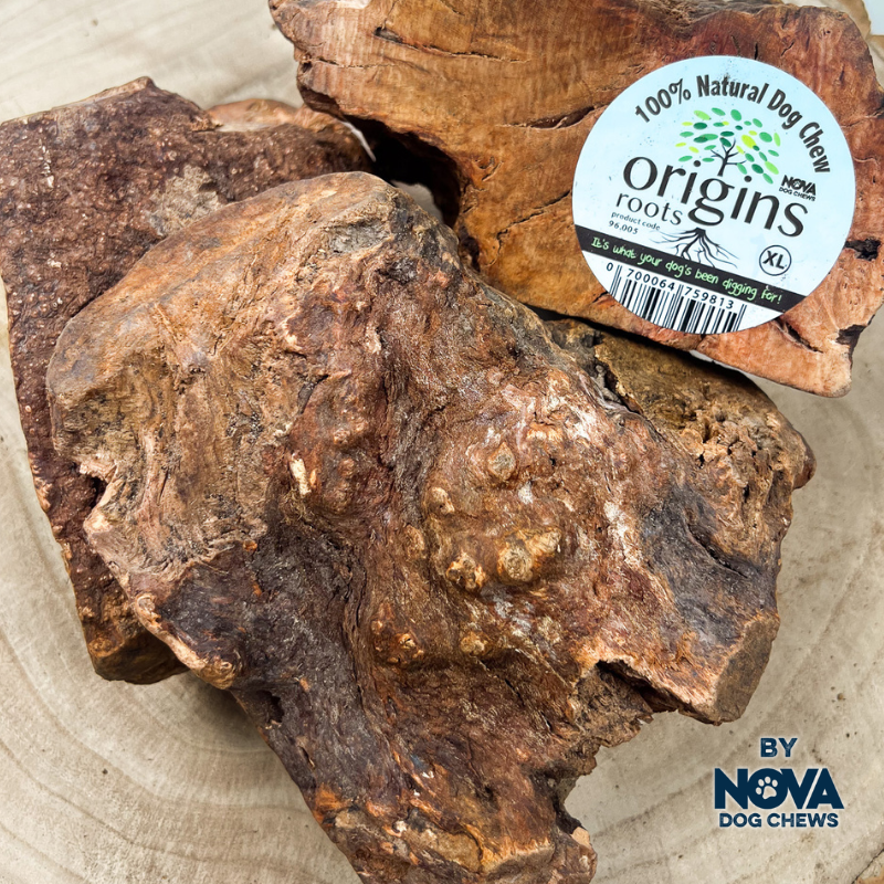 Root Chew Extra Large (750g - 1kg)