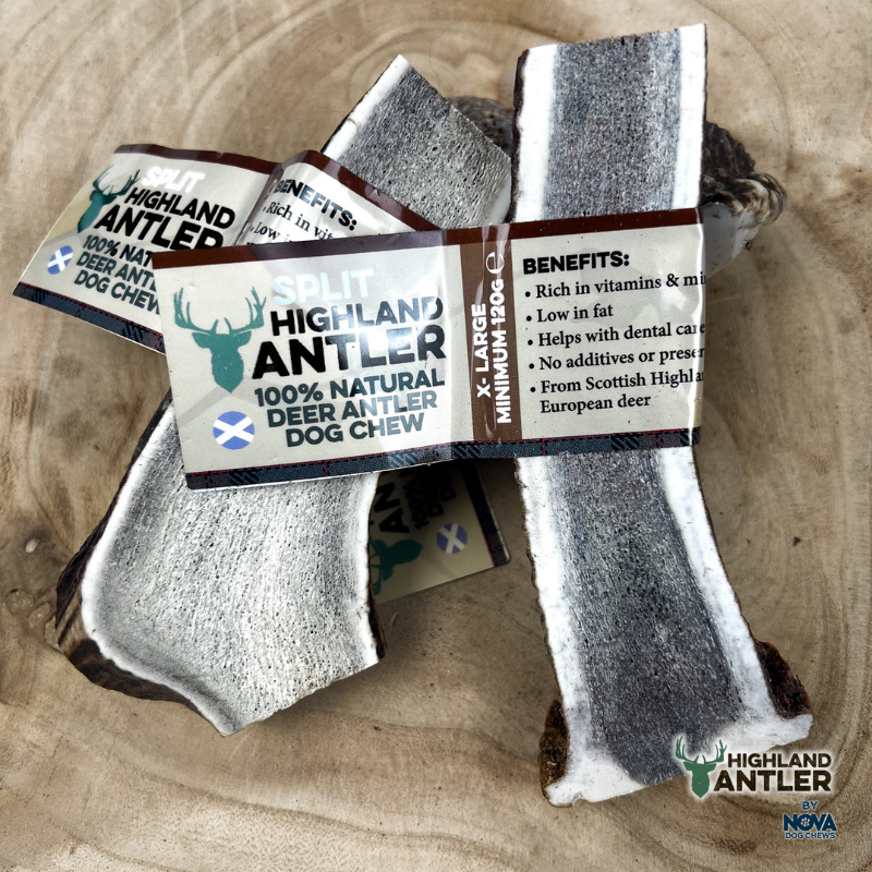 Highland Split Antler Extra Large (120g +)
